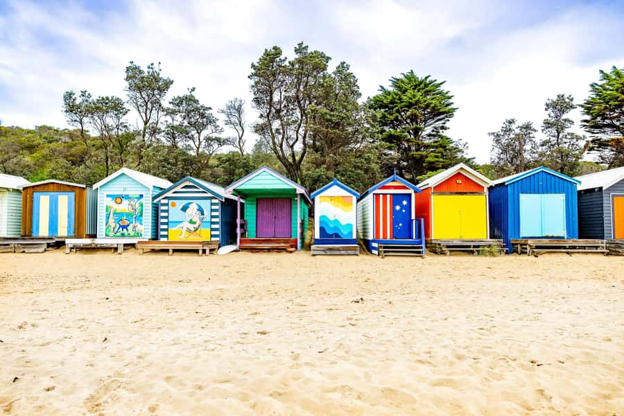 Mornington Peninsula Private Day Tour - The private vehicle and guide make a real difference