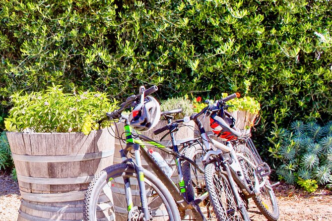 Mornington Peninsula Self-Guided Bike Tour | Food & Wine Region - Arthurs Seat views before the ride begins