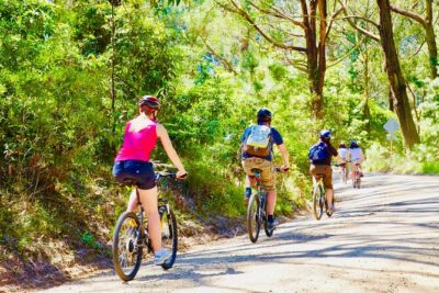 Mornington Peninsula Self-Guided Bike Tour | Food & Wine Region