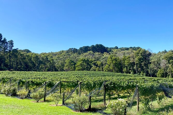 Mornington Peninsula Self-Guided Bike Tour | Food & Wine Region - The Merricks Red Hill Rail Trail is the scenic payoff