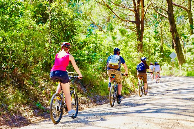 Mornington Peninsula Self-Guided Bike Tour | Food & Wine Region - Starting among wallabies at Seawinds Gardens