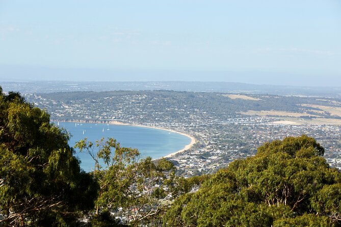 Mornington Peninsula Sightseeing and Bay Cruise - The painted beach boxes