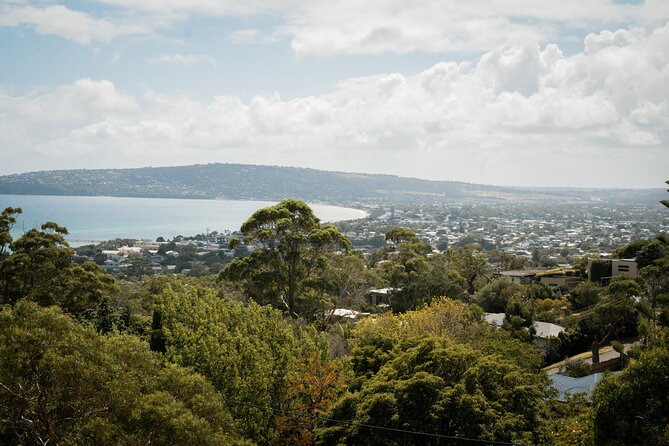 Mornington Peninsula Small Group Thermal Springs w/ Lunch & Wine - Three hours at Peninsula Hot Springs