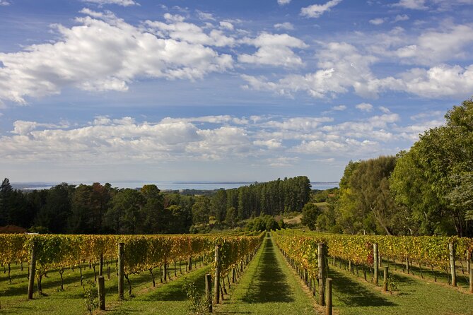 Mornington Peninsula Wine Day Tour - Why Mornington Peninsula makes a fine wine day from Melbourne