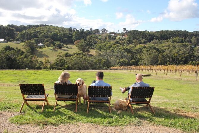 Mornington Peninsula Winery, Beer and Spirits Tour - Pt. Leo Estate combines wine, sculpture and sea views