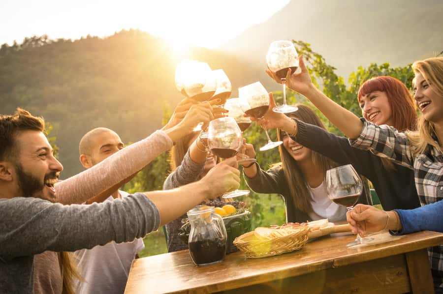 Mornington Peninsula Winery Bus Tour with Lunch & Wine - Who will enjoy this day most?