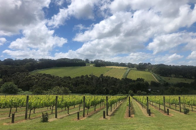 Mornington Peninsula Winery Tour - Lunch Included - What the small group and transport mean in practice