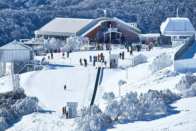 Mount Buller Sightseeing Tour - Skiing, lessons, sledding, or sightseeing