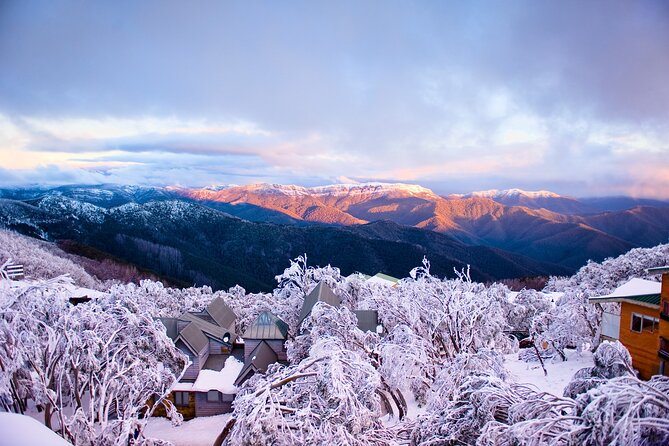 Mount Buller Sightseeing Tour - The long return to Melbourne