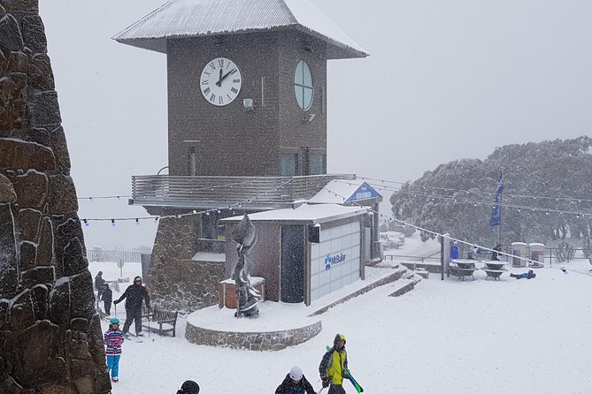 Mt Buller Day Trip from Melbourne - Key points to know before booking