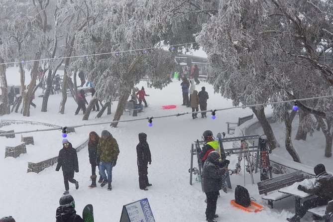 Mt Buller Day Trip from Melbourne - The return equipment stop and Melbourne arrival