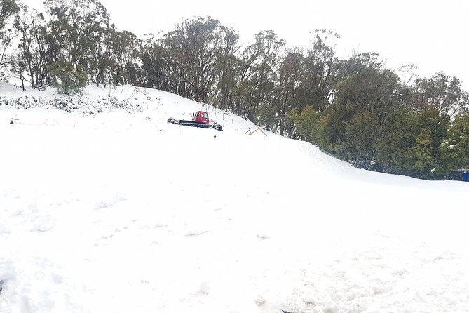 Mt Buller Day Trip from Melbourne - Practical planning for a smoother day