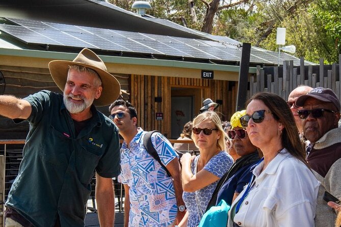 Penguin Parade, & Wildlife Encounters Eco Tour from Melbourne - Who will enjoy this tour most