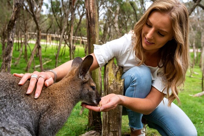 Peninsula Nature Tour - Key points to know before you book