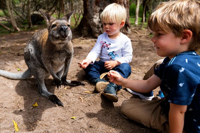 Peninsula Nature Tour - Is $312 per person fair?