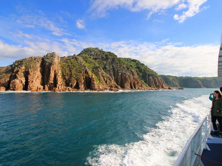 Philip Island: Dolphin and Whale Cruise - Tea, coffee, cake, and the licensed bar