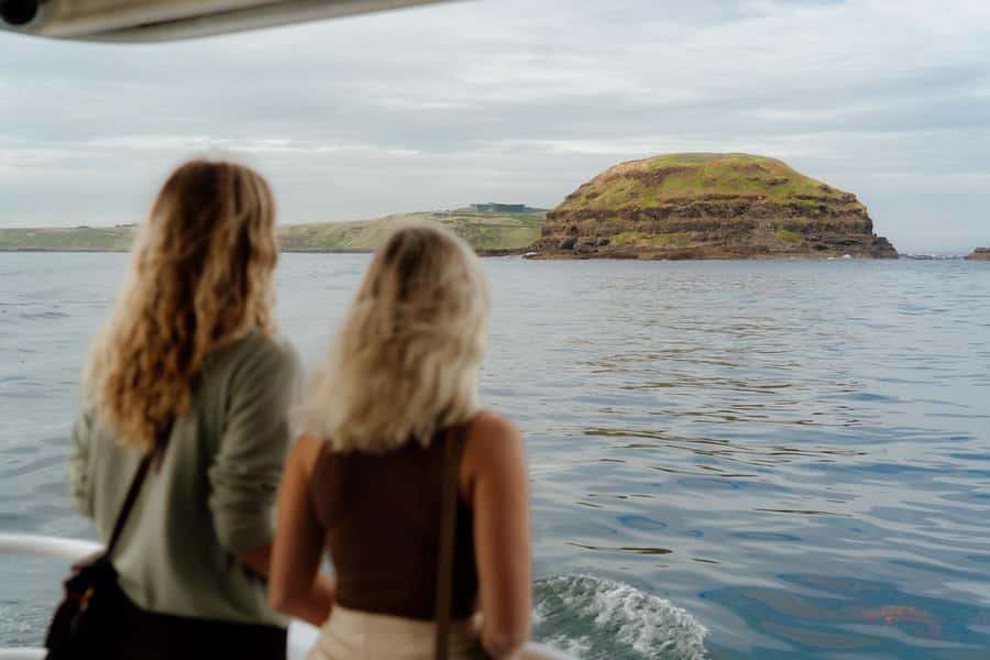 Philip Island: Seal Watching Cruise - Key points to know before booking
