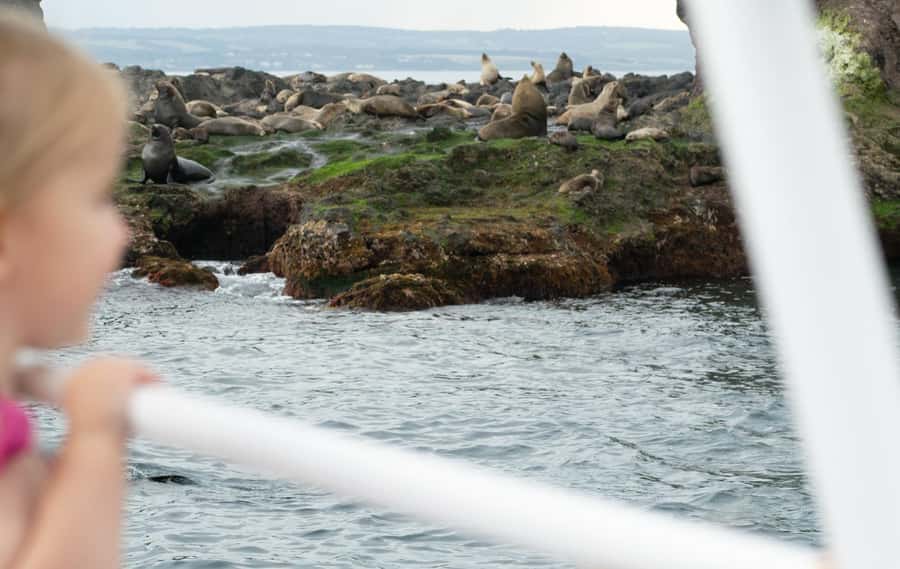 Philip Island: Seal Watching Cruise - Commentary, crew, and the captain’s bridge