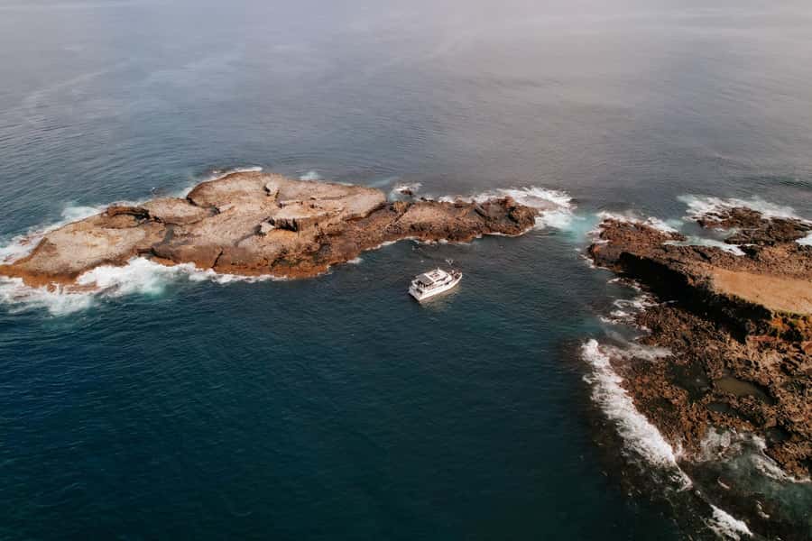 Philip Island: Seal Watching Cruise - Comfort on a two-hour boat trip