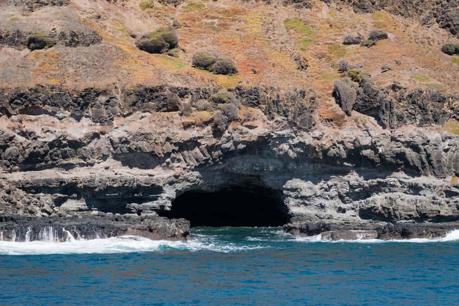 Philip Island: Seal Watching Cruise - Who will enjoy this cruise most