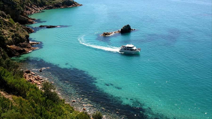 Phillip Island: 1-Hour Cape Woolamai Scenic Cruise - Key points to know before booking
