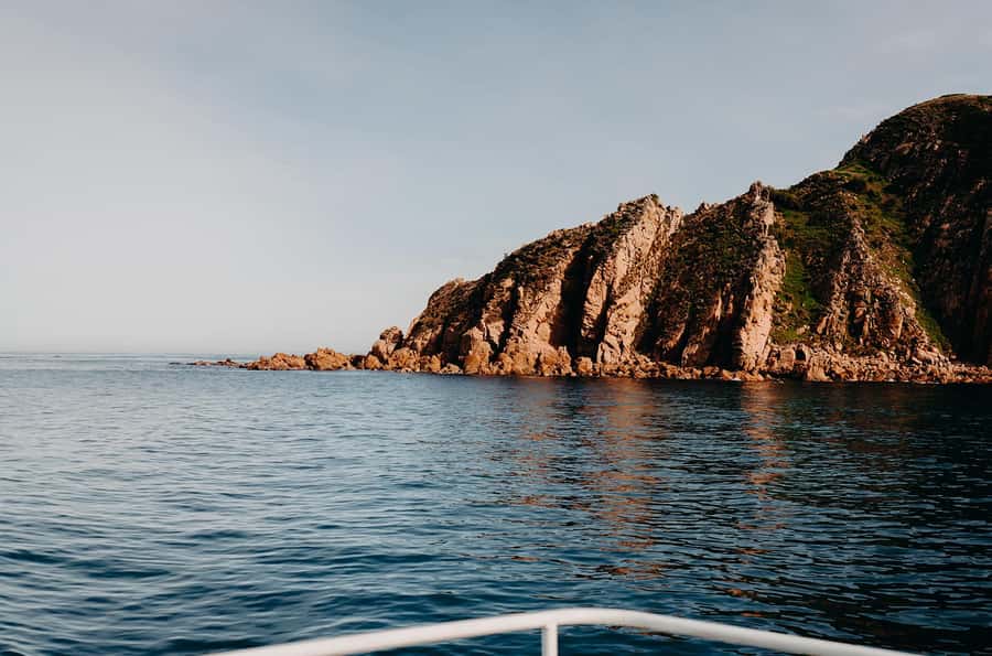 Phillip Island: 1-Hour Cape Woolamai Scenic Cruise - Timing the cruise with San Remo’s pelicans