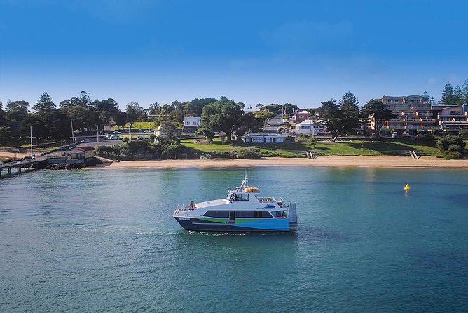 Phillip Island and French Island Wildlife Expedition - Why the two-island plan is worth your day