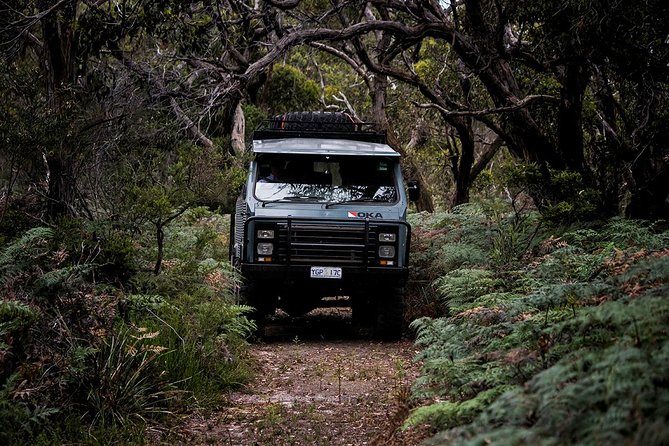 Phillip Island and French Island Wildlife Expedition - How the guide affects the experience
