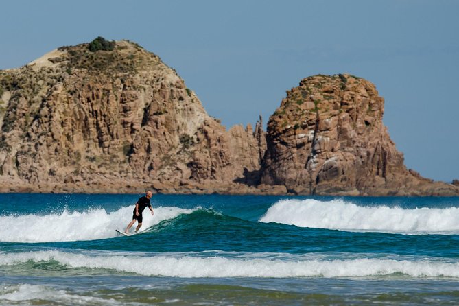 Phillip Island Day Trip from Melbourne with Penguin Plus Viewing Platform - Who will enjoy this day trip most