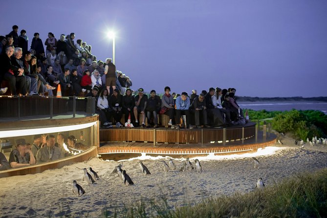 Phillip Island Day Trip from Melbourne with Penguin Plus Viewing Platform - Koalas on raised boardwalks