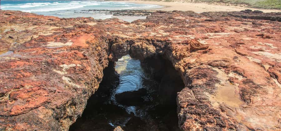 Phillip Island Driving Tour with an APP - A self-guided day from Newhaven to the island’s coast