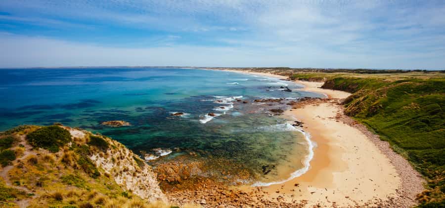 Phillip Island Driving Tour with an APP - A Maze N Things and the first wildlife choices