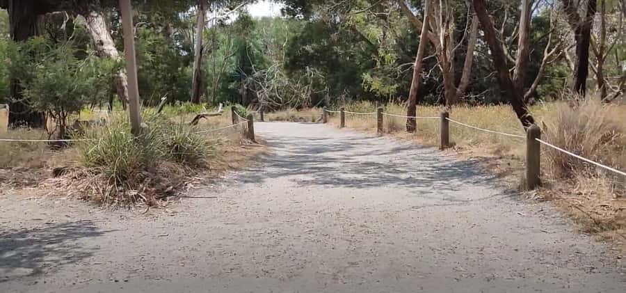 Phillip Island Driving Tour with an APP - The Nobbies and the island’s southern viewpoints