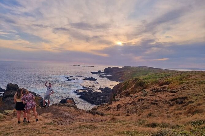 Phillip Island: Golden Hour Penguin Express Tour w/ Island Pickup - Is $93.24 a fair price?