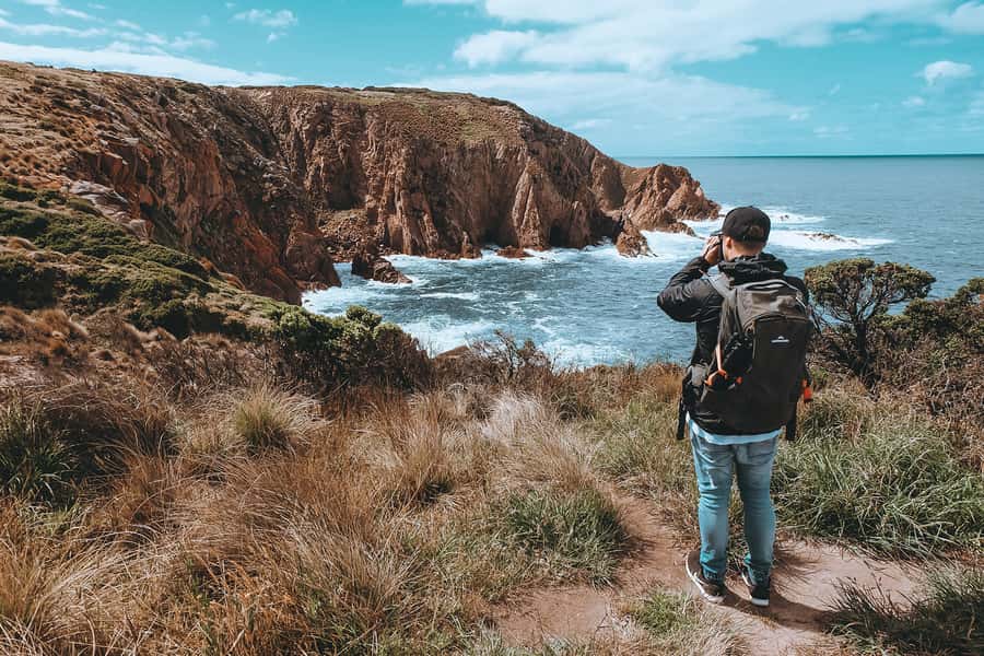 Phillip Island: Hike and Penguin Parade - 8 pax Small Tour - The Nobbies Boardwalk and the Bass Strait