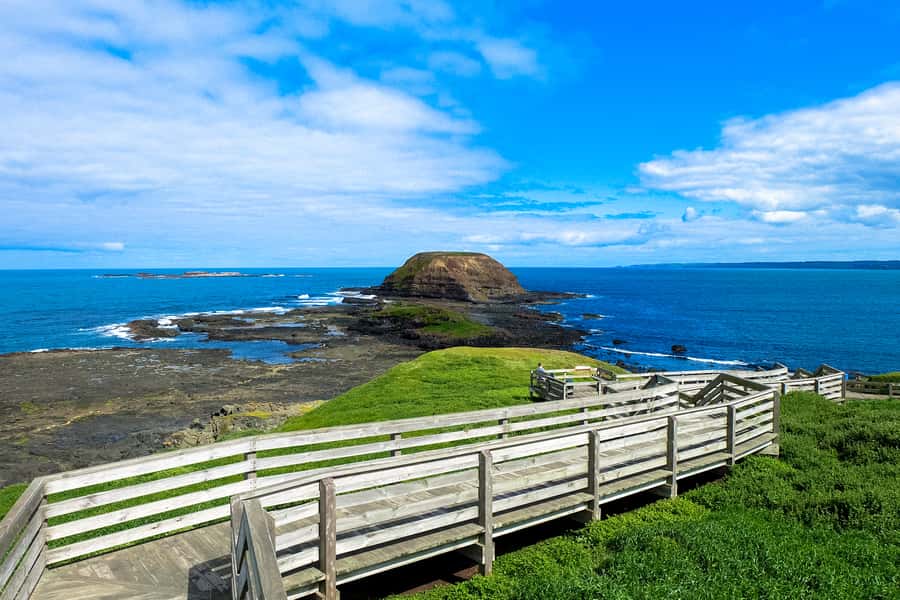 Phillip Island: Hike and Penguin Parade - 8 pax Small Tour - What the Tour Price Needs to Cover