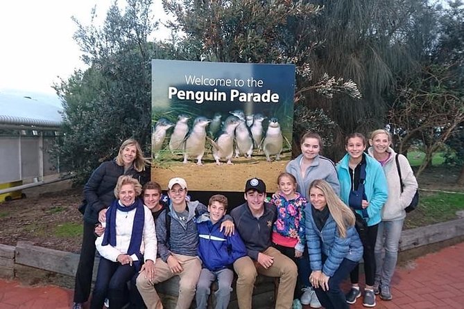 Phillip Island Medium Size Group Tour - What the nine-hour schedule feels like