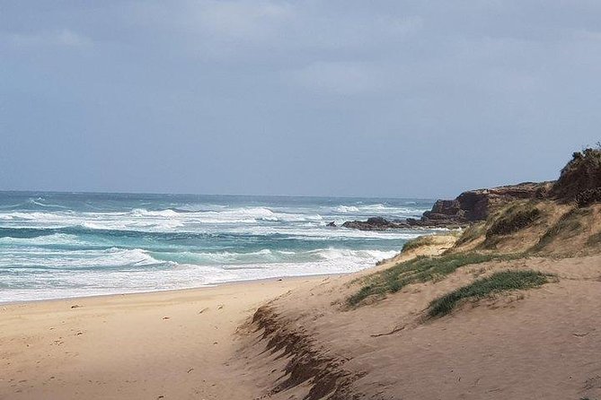 Phillip Island Penguin and wildlife Tour - The Nobbies brings cliffs, wind, and seal views