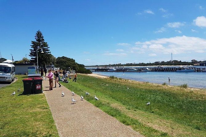 Phillip Island Penguin and wildlife Tour - Who should book this Phillip Island tour