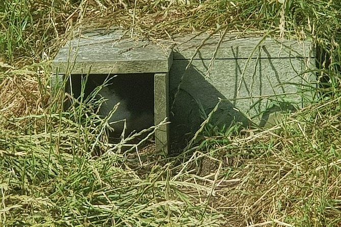 Phillip Island Penguin and wildlife Tour - Practical advice before you go