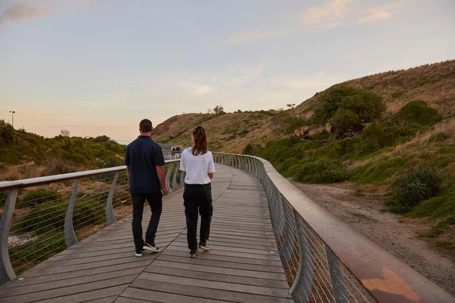 Phillip Island Penguin Direct Sunset Tour - The Nobbies boardwalks and Bass Strait views