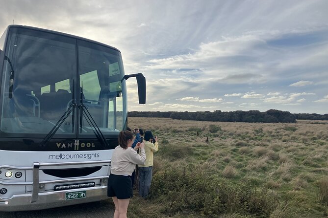 Phillip Island Penguin Parade Express Tour from Melbourne - The day can include more than the Express route