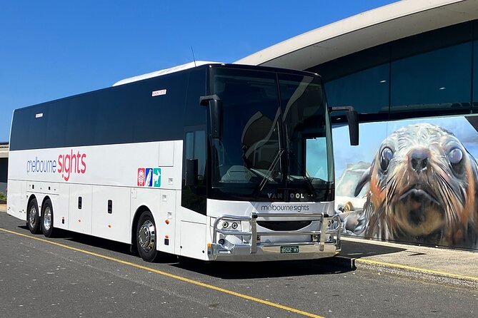 Phillip Island Penguin Parade Express Tour from Melbourne - Price, time, and overall value