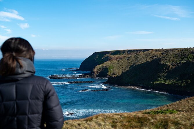 Phillip Island Penguin Parade Express Tour from Melbourne - The Nobbies: 30 minutes on the southern coast