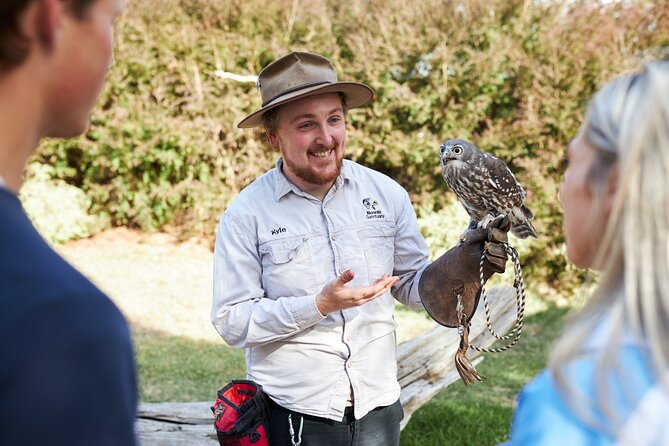 Phillip Island Penguin Parade, Wildlife and Beach Boxes Bus Tour - Why the evening cold matters