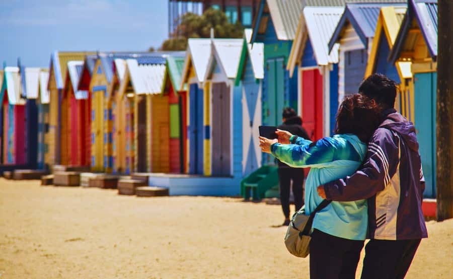 Phillip Island Penguin Parade with Expert Local Guide - Key points before you book