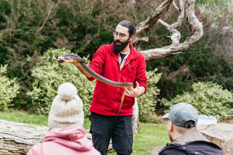 Phillip Island Penguin Parade with Expert Local Guide - Cape Woolamai shows Phillip Island’s open coast