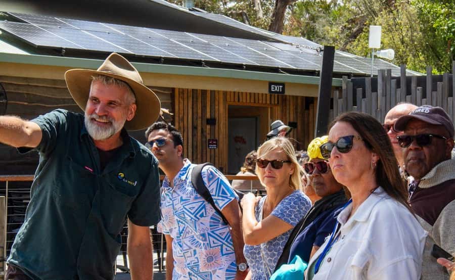 Phillip Island Penguin Parade with Expert Local Guide - Is $116 good value?