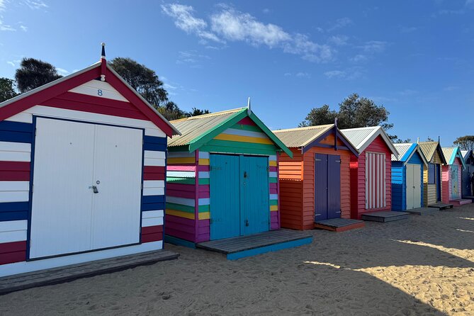 Phillip Island Penguins and Moonlit Sanctuary Private Day Tour - Why the Penguin Parade makes this day worth the long ride