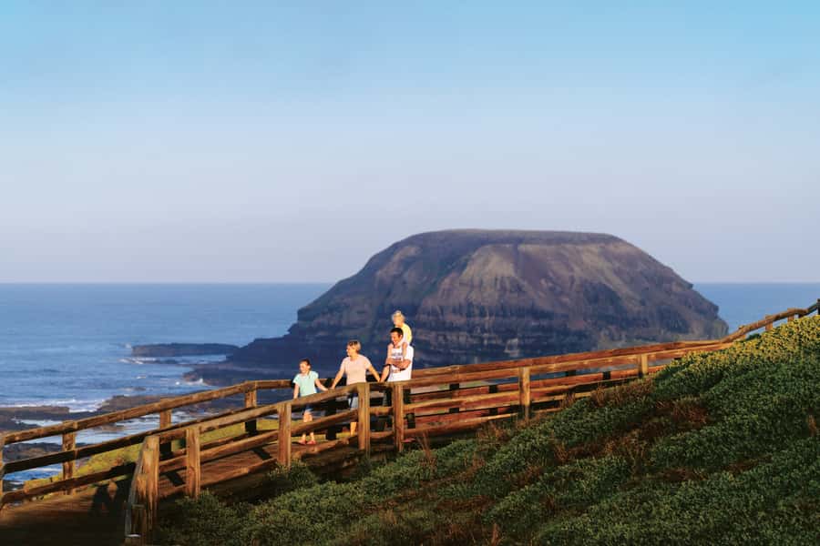 Phillip Island: Penguins and Wildlife Full-Day Tour - Why the penguin parade is worth the long day